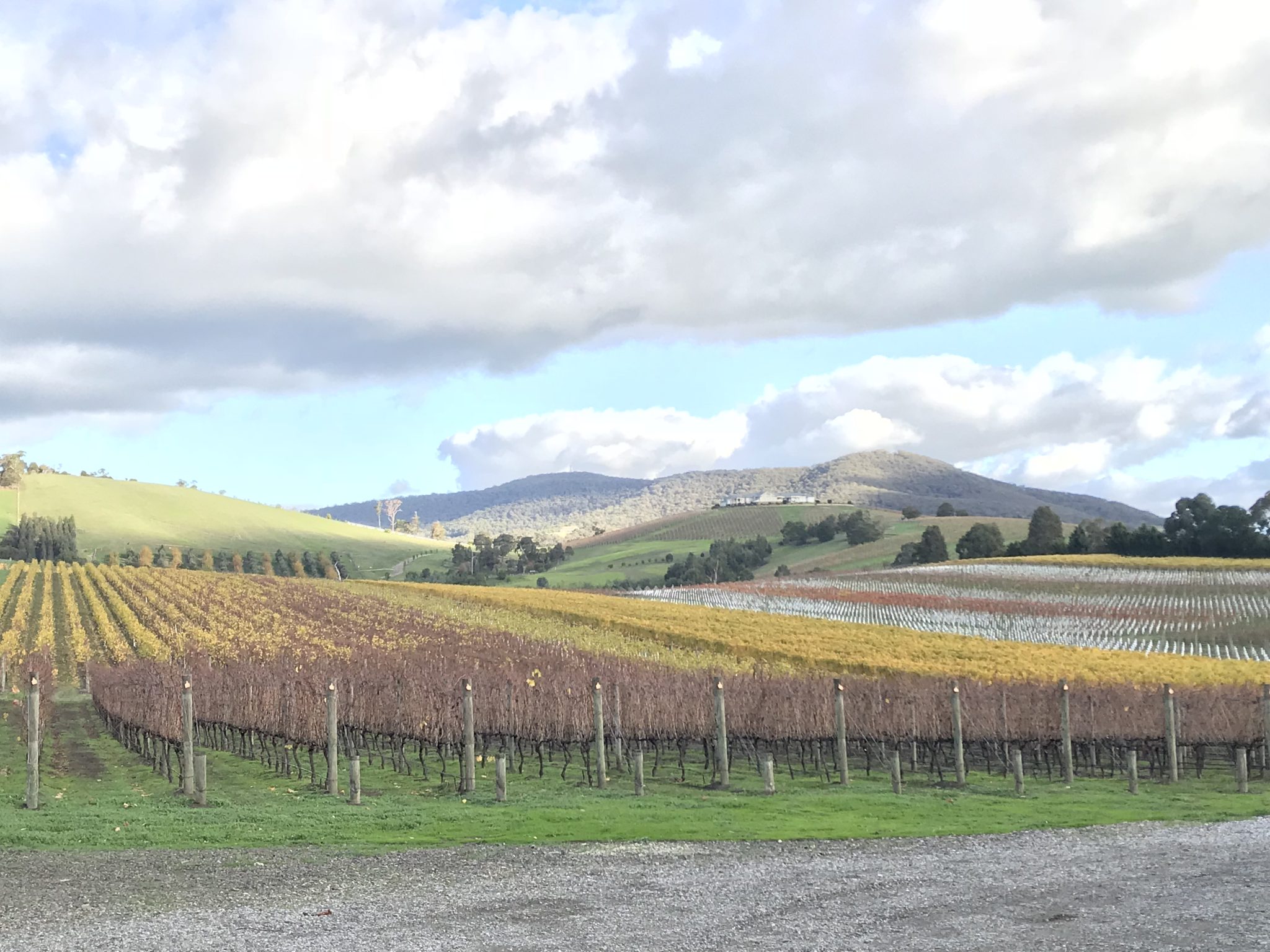 private tours yarra valley