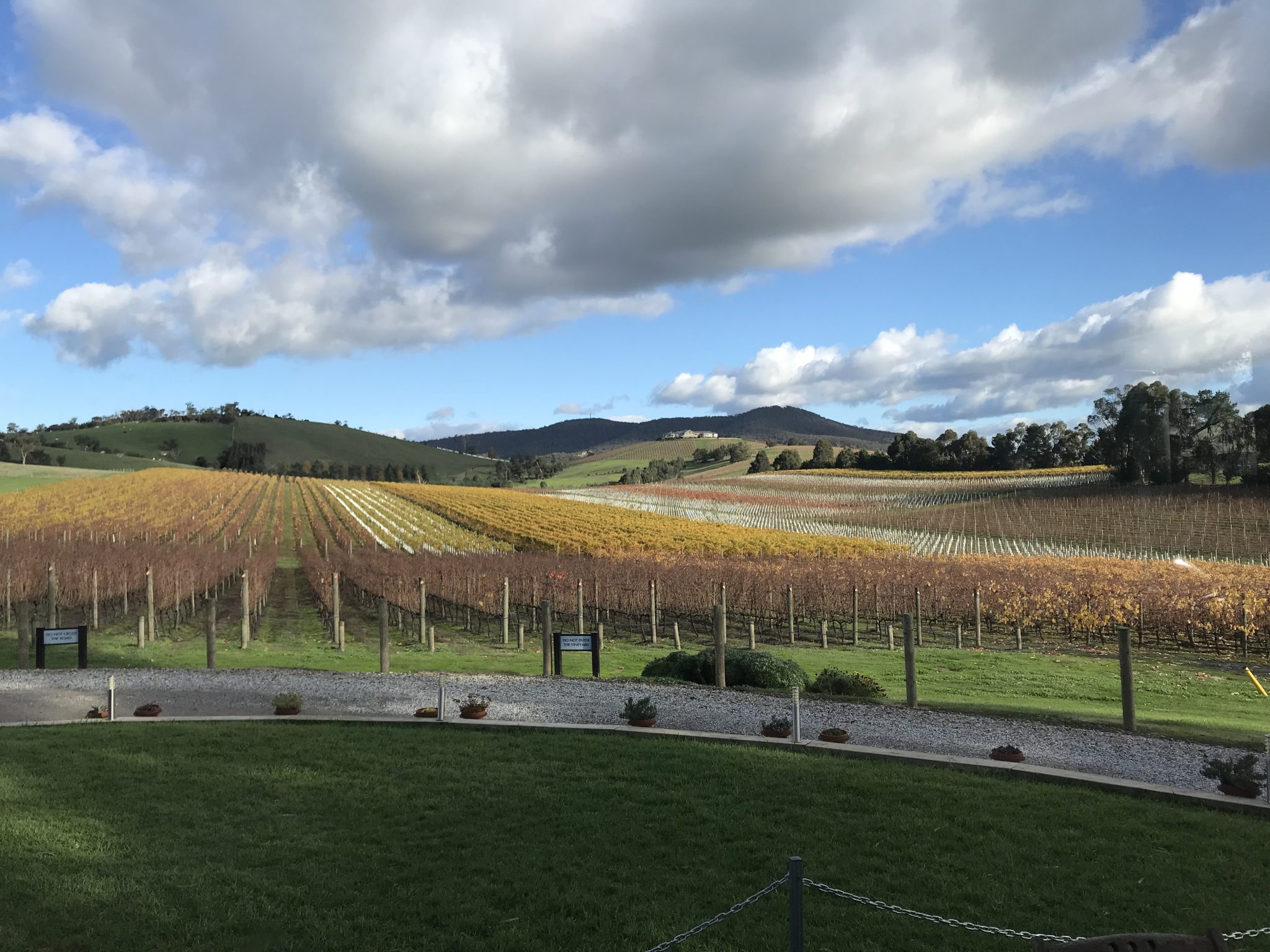 yarra valley private tours