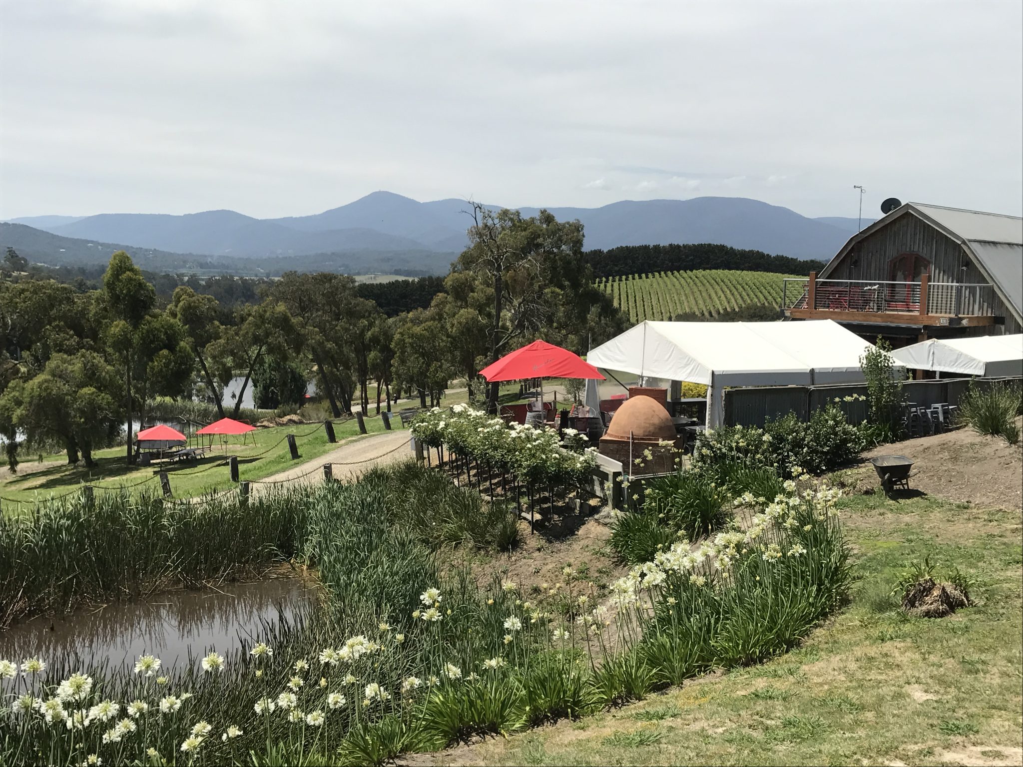 yarra valley private tour