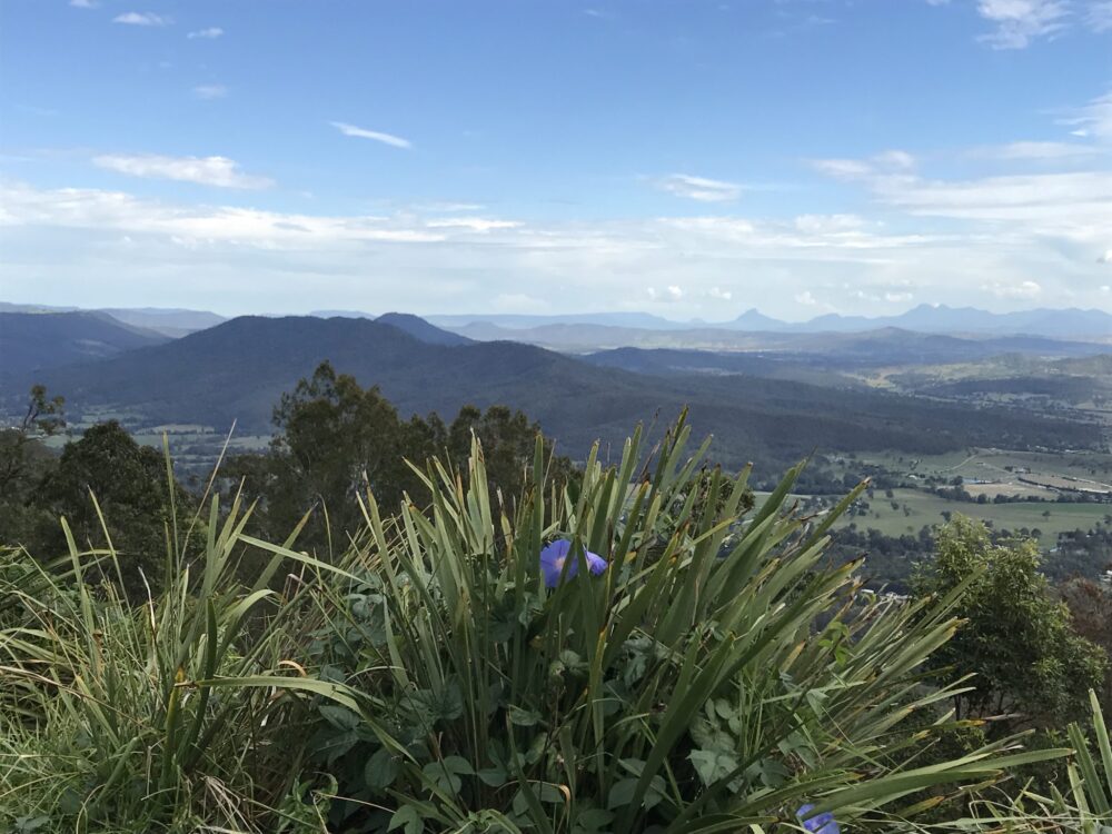 MOUNT TAMBORINE WINE TOUR AUSTRALIAN PRIVATE TOURS