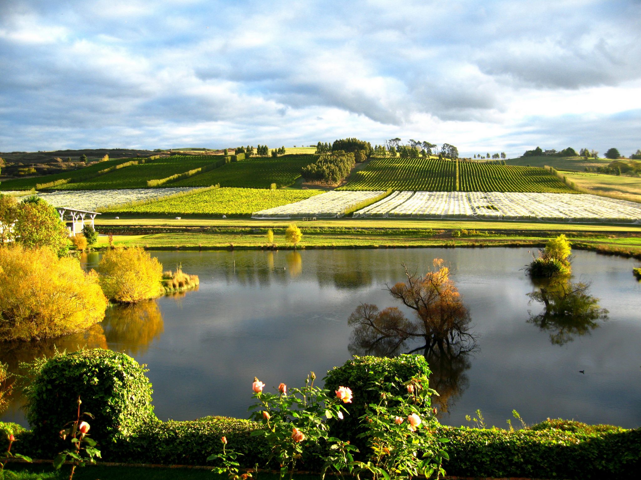 clare valley tourism