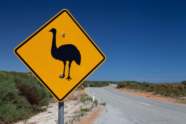 Road trips in Western Australia